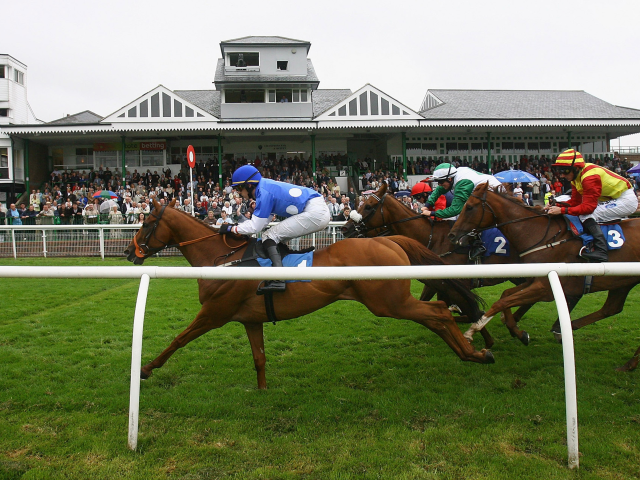 We're racing at Catterick (pictured) and Lingfield today
